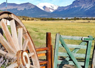 Argentine El Calafate